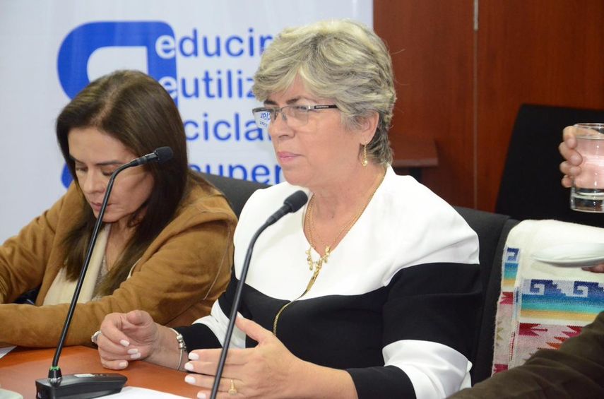 La exministra de Aguas María Elva Pinckert abandonó Bolivia y se declaró perseguida política
