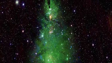 Esta imagen compuesta muestra el grupo de árboles de Navidad. Las luces azules y blancas (que parpadean en la versión animada de esta imagen) son estrellas jóvenes que emiten rayos X detectados por el Observatorio de rayos X Chandra de la NASA.