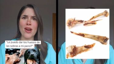 Soy veterinaria y esto es lo que pienso de dar huesos a los perros: jamás le daría los cocinados de las sobras.