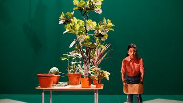 La actriz chilena Marcela Salinas en la pieza&nbsp;Estado Vegetal, de la dramaturga Manuela Infante.
