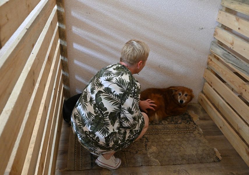 La veterinaria Nataliya Mazur examina a un perro en un refugio temporal para animales en la capital ucraniana, Kiev, el 9 de junio de 2022. Los gatos y los perros del refugio resultaron heridos, perdieron a sus dueños y sus hogares después de que ciudades y pueblos ucranianos fueran atacados por bombardeos rusos. Algunos tuvieron suerte, tuvieron la oportunidad de una nueva vida después de ser llevados a refugios especiales donde son alimentados y potencialmente obtienen nuevos dueños. &nbsp;