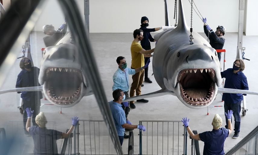 Una réplica en fibra de vidrio de Bruce, el tiburón del clásico de Steven Spielberg de 1975 Jaws (Tiburón), es montada en el nuevo Museo de la Academia de Cine en Los Ángeles el viernes 20 de noviembre del 2020.&nbsp;