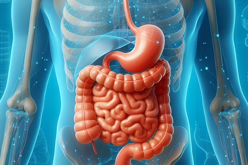 El intestino es considerado por la ciencia como un segundo cerebro.