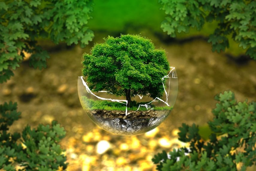 El Día Mundial de la Educación Ambiental es este 26 de enero