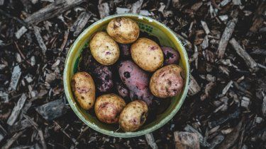 Imagen referencial.&nbsp;