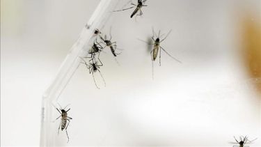 Imagen referencial.&nbsp;