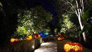 La hora inquietante es la nueva experiencia para festejar Halloween en el Jardín Botánico Fairchild.