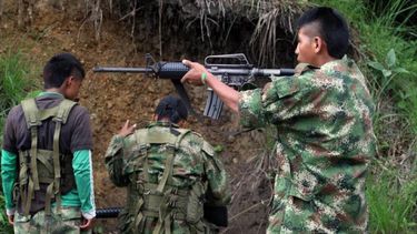 El Gobierno colombiano precisó que 132 menores de edad ya salieron de las zonas veredales transitorias de normalización (ZVTN), en donde las FARC permanecen reunidas.