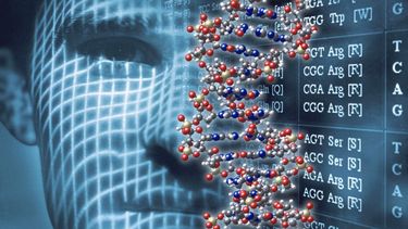 Hoy en día la estrategia de selección está centrada en la exploración fetal, la fecundación in vitro y la ingeniería genética. (Archivo)