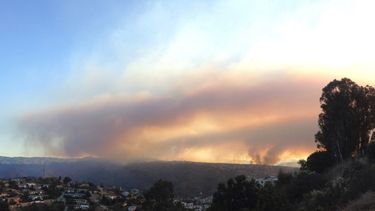 El foco incendiario, que continúa activo, ya consumió unas 230 hectáreas de vegetación en cerros y quebradas de los alrededores de Viña del Mar.