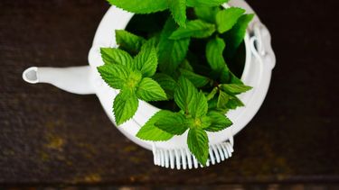 Imagen referencial.&nbsp;