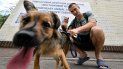 El voluntario Dmytro Popov, un botánico de 28 años, sostiene a un perro fuera de un refugio temporal para animales después de un paseo por un parque circundante en la capital ucraniana, Kyiv, el 9 de junio de 2022.