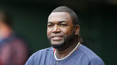 Al Big Papi le restan 34 jonrones para llegar a 500 en su carrera (AP)