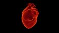 El Día Mundial del Corazón se celebra este 29 de septiembre