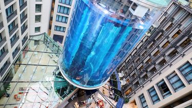 Foto del acuario AquaDom en la atracción turística Sea Life en Berlín, 1 de junio de 2022. El acuario reventó el viernes 16 de diciembre de 2022