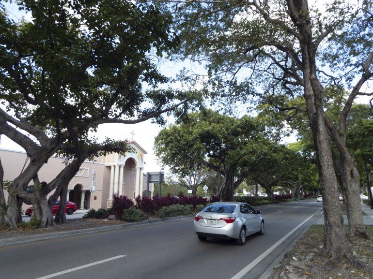 Miami obsequia árboles gratis este sábado para reforestar la ciudad