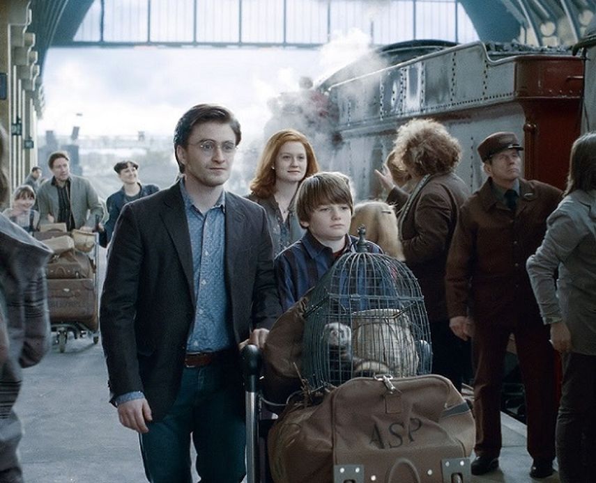 &nbsp;La saga de Harry Potter hizo famoso al búho nival (CORTESÍA).&nbsp;