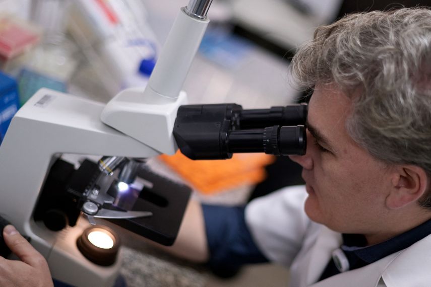 El psiquiatra brasileño Frederico García, profesor asociado del Departamento de Salud Mental de la Facultad de Medicina e investigador responsable del desarrollo de Calixcoca, vacuna contra la adicción a la cocaína y al crack, observa microorganismos bajo el microscopio, en la Universidad Federal de Minas.