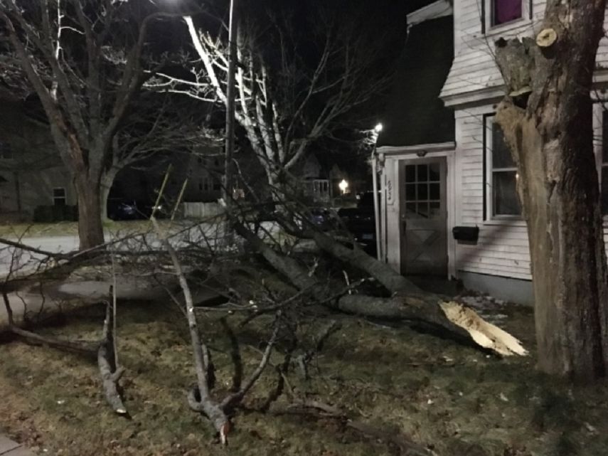 La tormenta y la pérdida de energía eléctrica se produjo cuando la mayoría de los canadienses celebraban su principal reunión familiar de las fiestas navideñas.