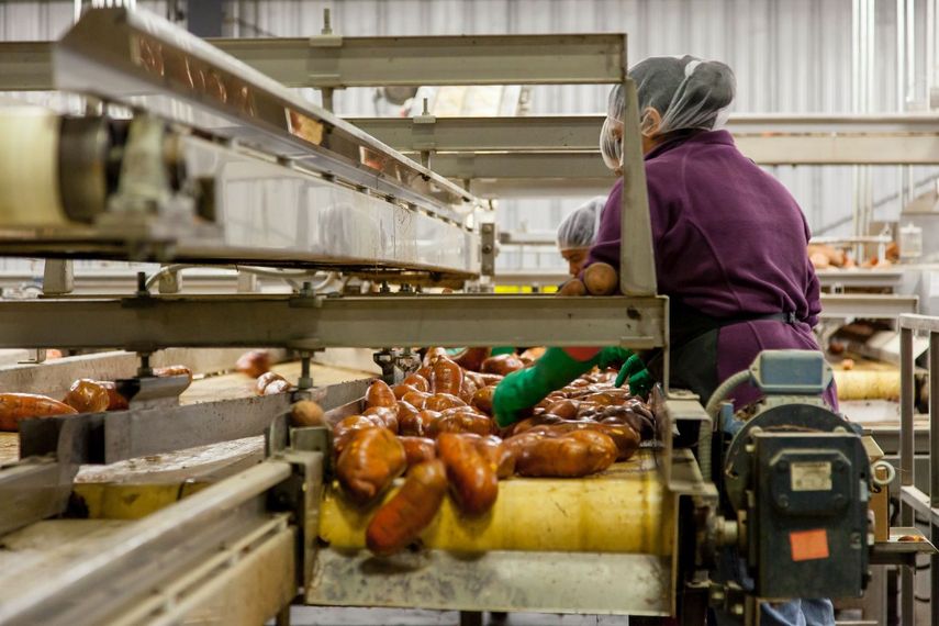 Empleadas en una fábrica de procesamiento de productos alimentarios.
