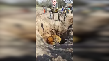extraen meteorito gancedo en argentina