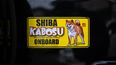 Esta fotografía tomada el 19 de marzo de 2024 muestra una pegatina de la perrita shiba inu japonés Kabosu, mejor conocido como el logotipo de la criptomoneda Dogecoin, fotografiada en el automóvil de su dueño Atsuko Sato mientras se dirigen a su oficina en Sakura, prefectura de Chiba, al este de Tokio.