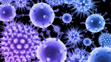 Los científicos consiguieron producir anticuerpos específicos gracias al tratamiento de células impregnadas con nanopartículas.