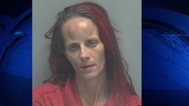 La acusada está detenida en el condado de Lee sin posibilidad de fianza.