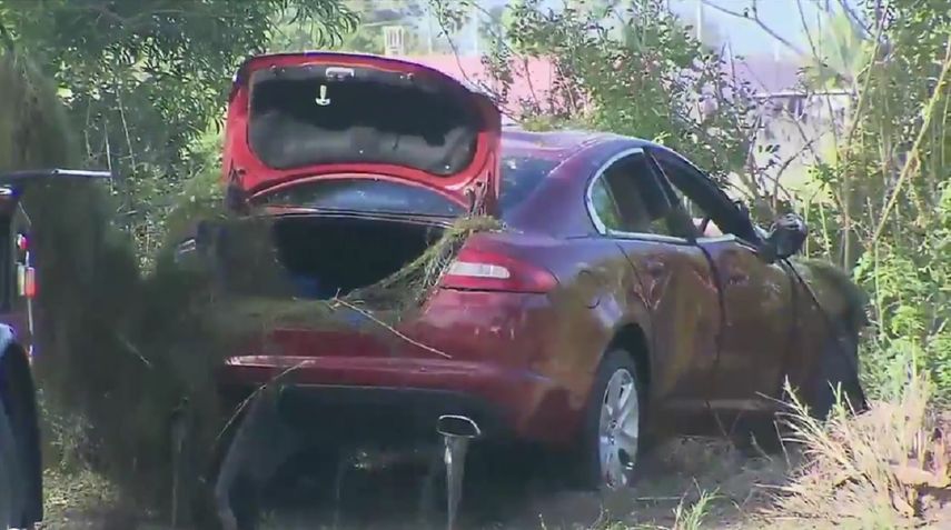 Meyer a la vez trató infructuosamente de mantener a flote a otro de los ocupantes, según versiones de testigos a medios locales.