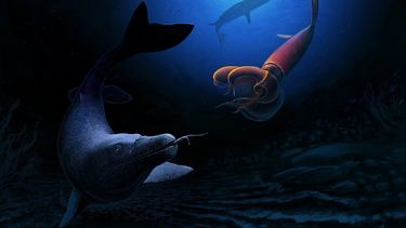 Descubren lagarto gigante previo al fin de los dinosaurios