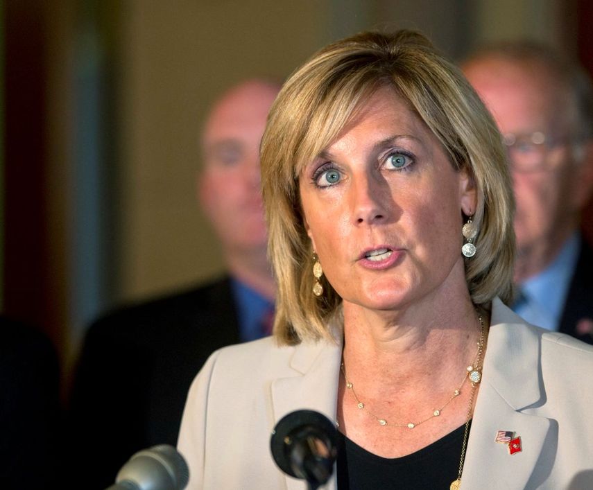 En esta fotografía de archivo del 10 de junio de 2015, la asambleísta republicana Claudia Tenney habla durante una conferencia de prensa en el Capitolio, en Albany, Nueva York.&nbsp;