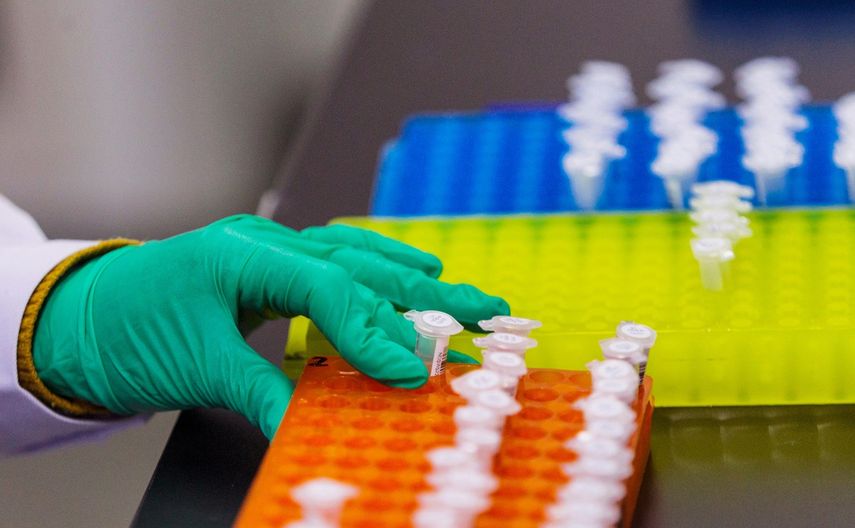 Según publica hoy el diario estatal China Daily, He no solicitó permiso a las autoridades de Shenzhen para llevar a cabo su experimento