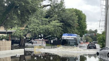 Autobús local se abre paso entre las aguas en North Miami