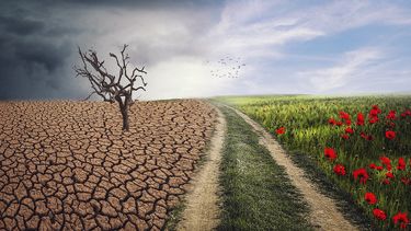 El cambio climático afecta a todo el mundo.&nbsp;