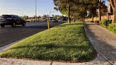 Tramo verde junto a la carretera Green Valley Parkway en foto del 9 de abril del 2021 en Henderson, un suburbio de Las Vegas. Las autoridades analizan una propuesta de eliminar el césped decorativo de espacios como este para ahorrar agua.&nbsp;