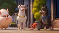 En esta imagen proporcionada por Warner Bros Pictures, los personajes Merton, una tortuga con la voz de Natasha Lyonne; PB, una cerdita con la voz de Vanessa Bayer; el perro Krypto, con la voz de Dwayne Johnson; Chip, una ardilla con la voz de Diego Luna, y Ace, un perro con la voz de Kevin Hart, en una escena de DC League of Super Pets.