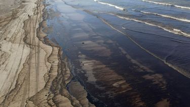 El alcance de las manchas negras de petróleo en casi 4 kilómetros dejó aves marinas muertas