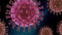 COVID-19: Pandemia supera los 200 millones de contagios COVID-19: Pandemia supera los 200 millones de contagios