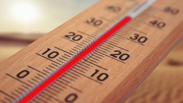 El cambio climático potencia la ola de calor en el oeste de Norteamérica