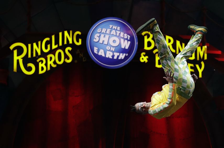 Un payaso del circo Ringling Bros. and Barnum & Bailey hace una voltereta durante una presentación el 14 de enero de 2017 en Orlando, Florida.