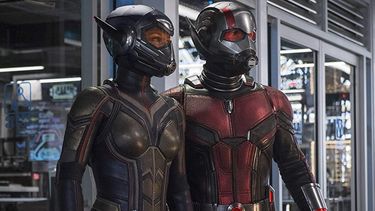Aunque no ha habido confirmaci&oacute;n oficial, tambi&eacute;n se espera que Evangeline Lilly, quien dio vida a La Avispa en la anterior entrega, est&eacute; tambi&eacute;n en el filme.