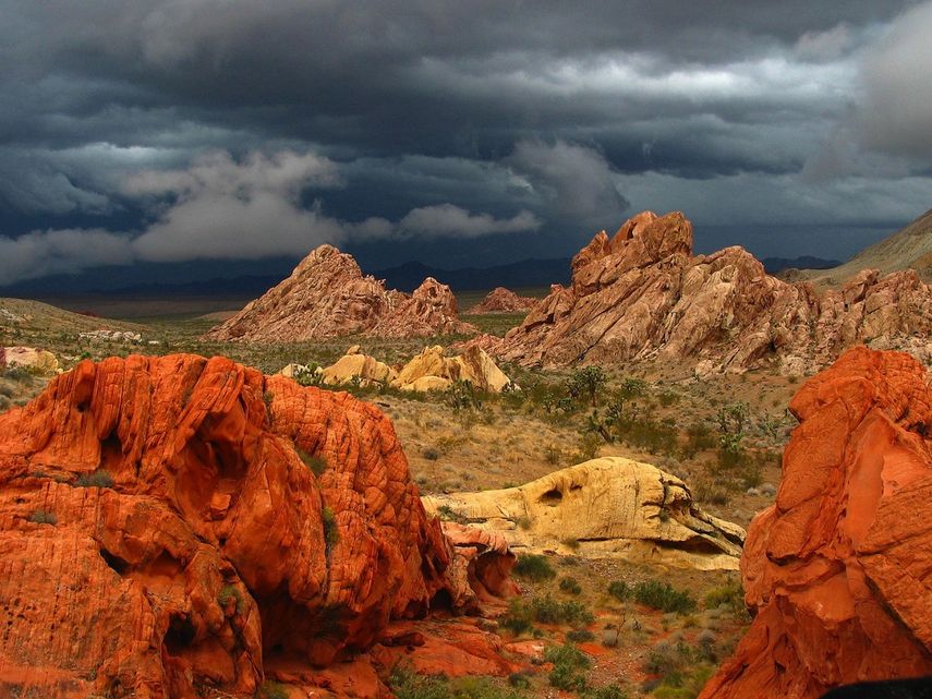 El Monumento Nacional Gold Butte incluye arte rupestre, objetos arqueológicos y fósiles excepcionales como pisadas de dinosaurio descubiertas recientemente.