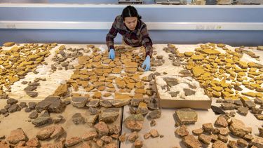 Una fotografía difundida por el Museo de Arqueología de Londres (MOLA) el 19 de junio de 2025 muestra a Han Li, especialista sénior en materiales de construcción del MOLA, colocando fragmentos de yeso romano del yacimiento The Liberty en Southwark, al sur de Londres.&nbsp;
