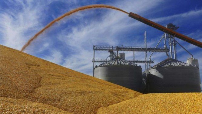 Agricultores de Illinois colocan maíz cosechado en el suelo fuera de un elevador de grano lleno en Virginia, Illinois.