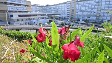 Una fotografía muestra una vista exterior del hospital Gemelli en Roma el 8 de junio de 2023, donde el Papa Francisco ha sido hospitalizado.&nbsp; 