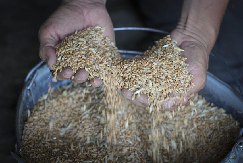 Agricultura. Ucrania reabre sus puertos para exportar cereales
