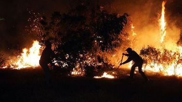 Vientos de más de 50 kilómetros por hora avivaron incendios forestales en Chile.