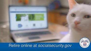 Los videos de gatos del canal de YouTube de U.S. Social Security Administration ya han recibido más de un millón de visitas.