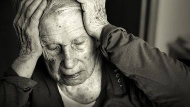 El Alzheimer&nbsp;deteriora la memoria principalmente en personas mayores de 60 años.&nbsp;