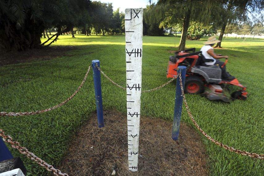 En esta imagen, tomada el 1 noviembre de 2019, un poste marca la p&eacute;rdida de m&aacute;s de seis pies de turba en el suelo desde su instalaci&oacute;n por parte del Centro de Investigaci&oacute;n de los Everglades de Florida en 1924, en Belle Glade, Florida.&nbsp;
